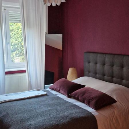 Cosy Appartement Complet Centre-Ville Montbéliard Buitenkant foto