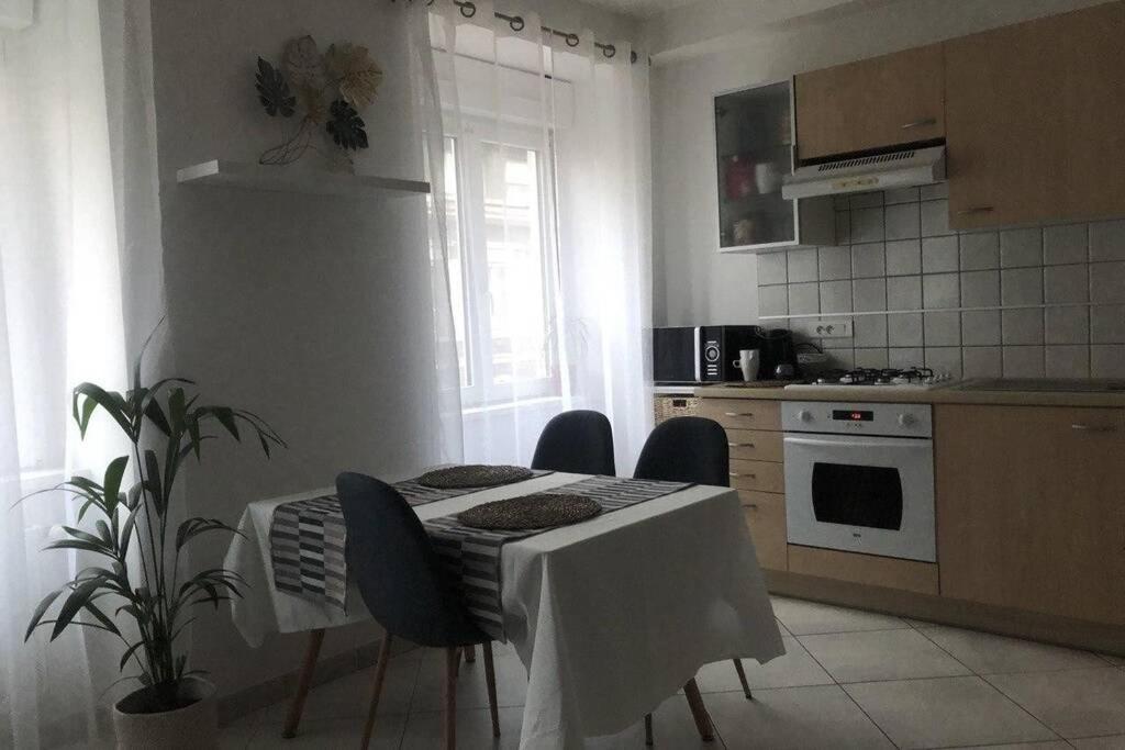 Cosy Appartement Complet Centre-Ville Montbéliard Buitenkant foto