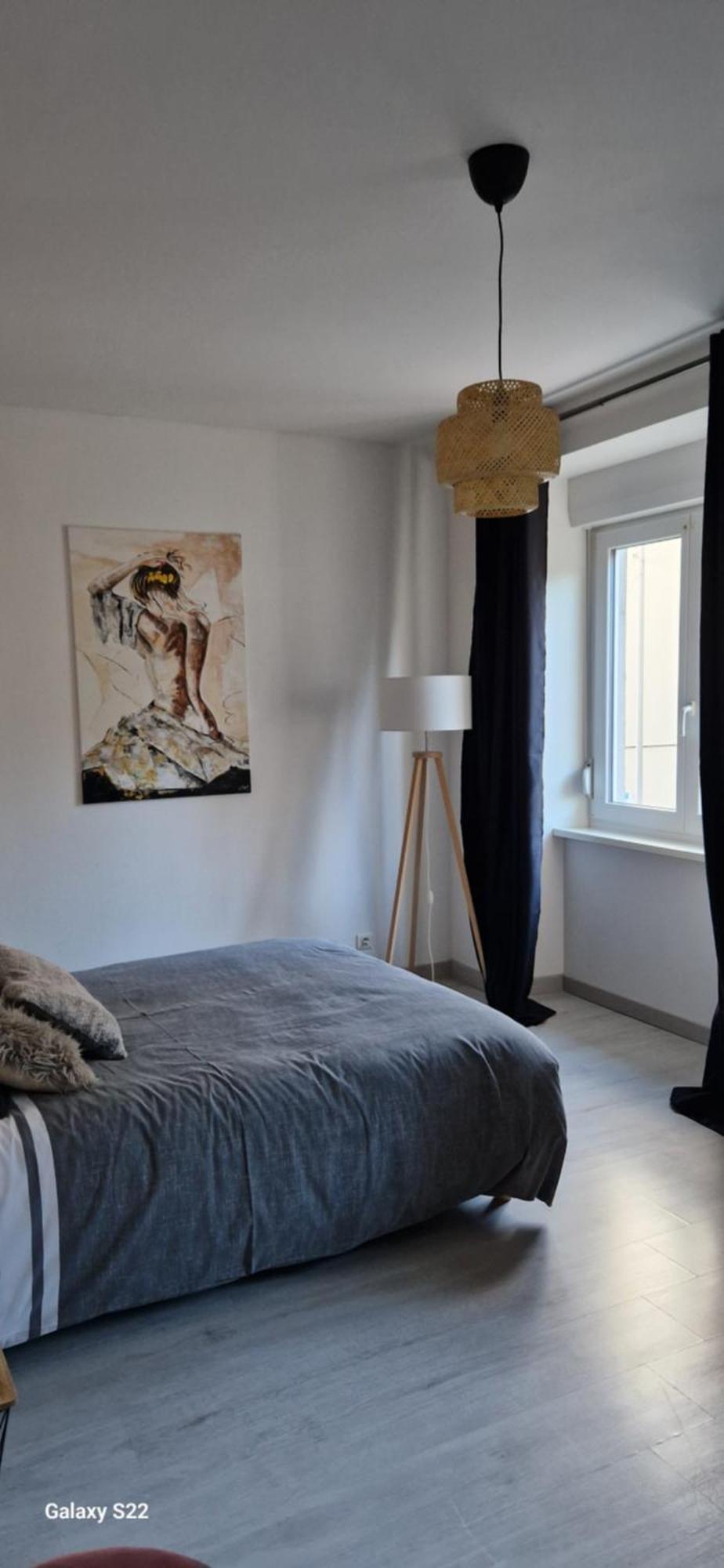 Cosy Appartement Complet Centre-Ville Montbéliard Buitenkant foto